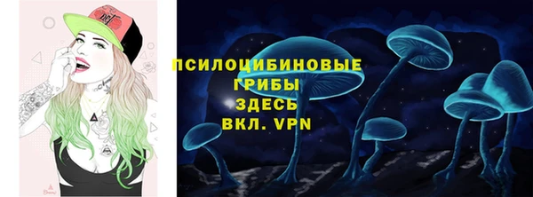 амф Алзамай