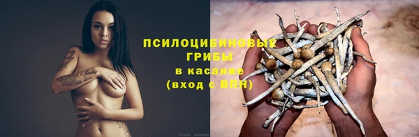 амф Алзамай
