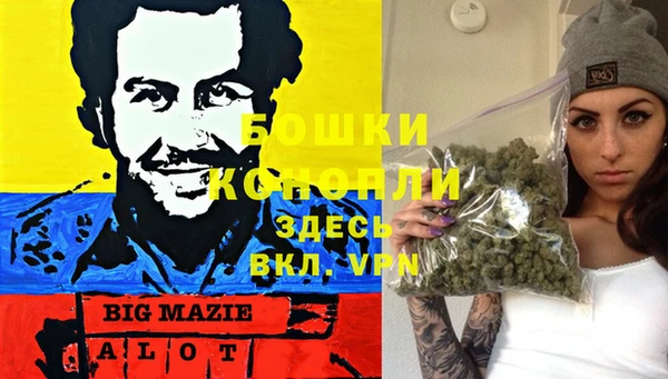гидра Алексин