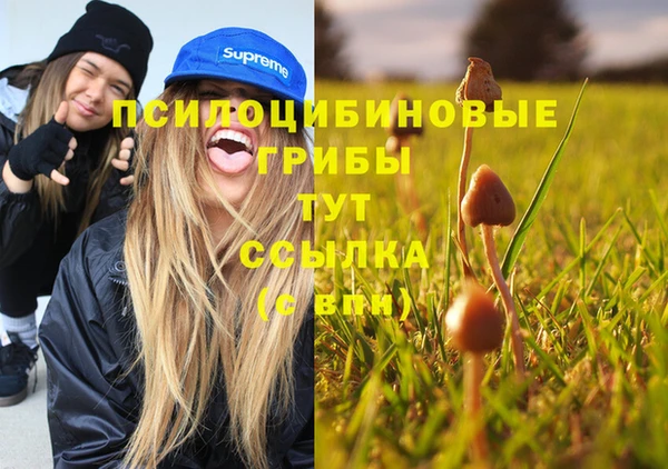 дживик Навашино